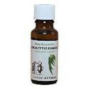HE EUCALYPTUS RADIATA ***20M