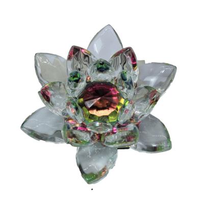 LOTUS BONHEUR 5 CM COULEUR
