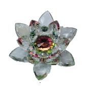 LOTUS BONHEUR 5 CM COULEUR