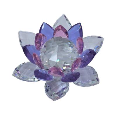 LOTUS BONHEUR 5 CM VIOLET
