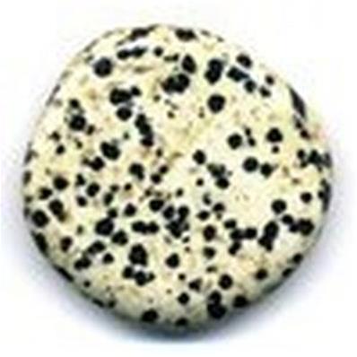 JASPE Dalmatien